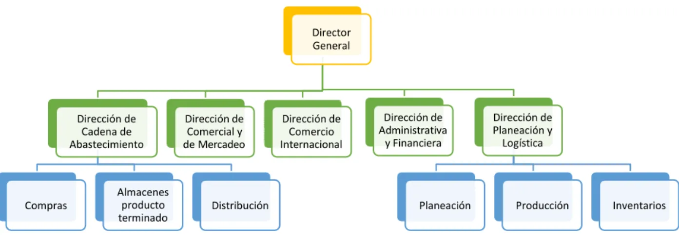 Figura  7   Estructura organizacional 