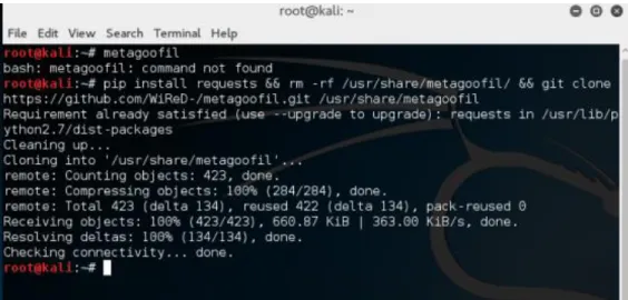 Figura  11 Captura Metagoofil - Kali Linux 