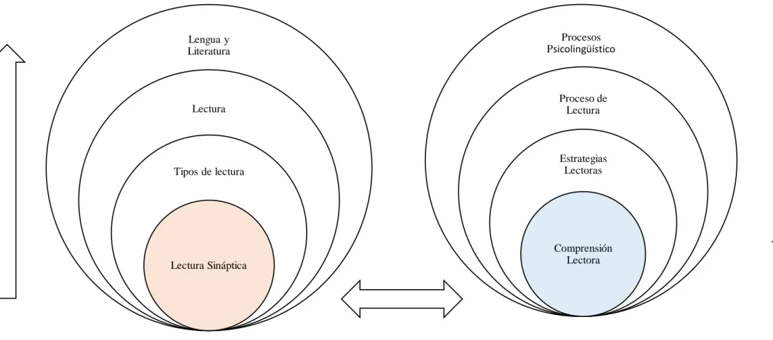 Gráfico  7. Categorías fundamentales. 
