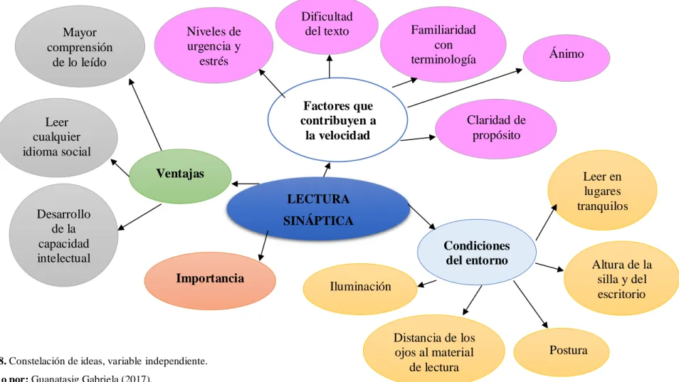 Gráfico  8. Constelación de ideas, variable independiente. 