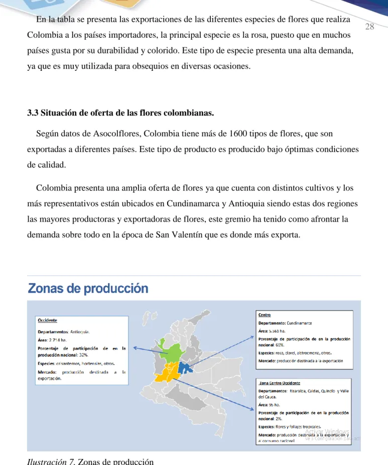 Ilustración 7. Zonas de producción 