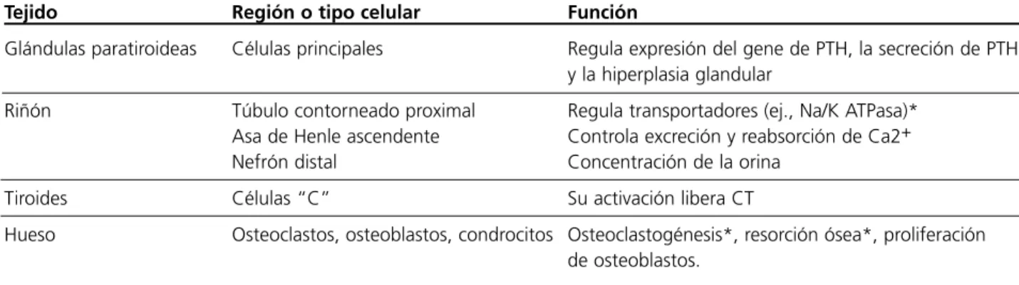 Tabla 1. Funciones comprobadas y putativas (*) del RCa en distintos tejidos.