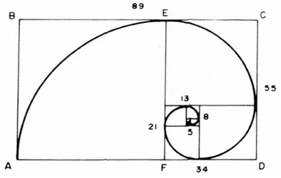 FIGURA 18: Espiral logarítmica y  correspondencias con la serie de Fibonacci