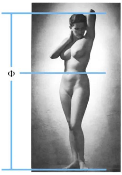 Figura 18. En efecto, el ombligo divide el cuerpo humano de acuerdo con la sección áurea.La sección áurea