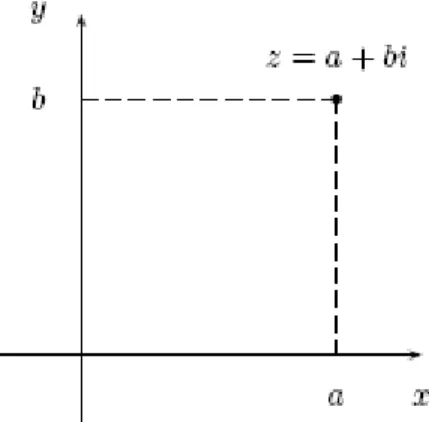 Fig. 2.1 Representación geométrica de un número complejo o Diagrama de Argand. 
