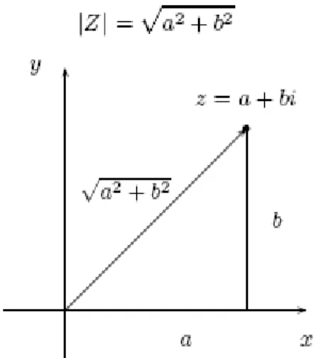 Figura 2.7 Representación geométrica del módulo de un número complejo z. 