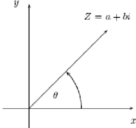 Figura 2.12 Forma Polar de un número complejo  z.  