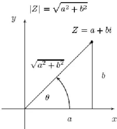 Figura 2.13 Representación geométrica del radio vector o módulo de un número complejo z