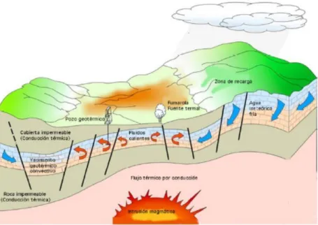Ilustración 3. Representación esquemática de algunos sistemas geotérmicos [2.1.1] 