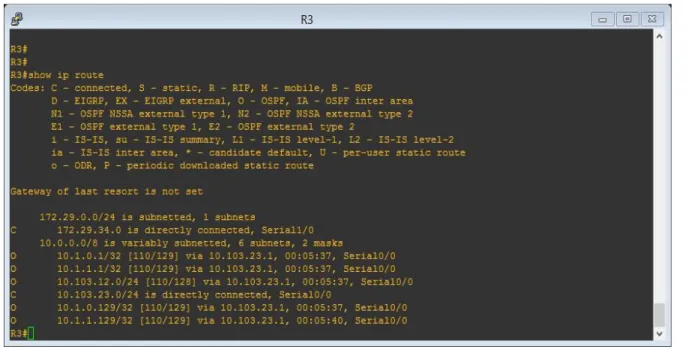 Figura 14. Nuevas interfaces de Loopback con el comando show IP router.  