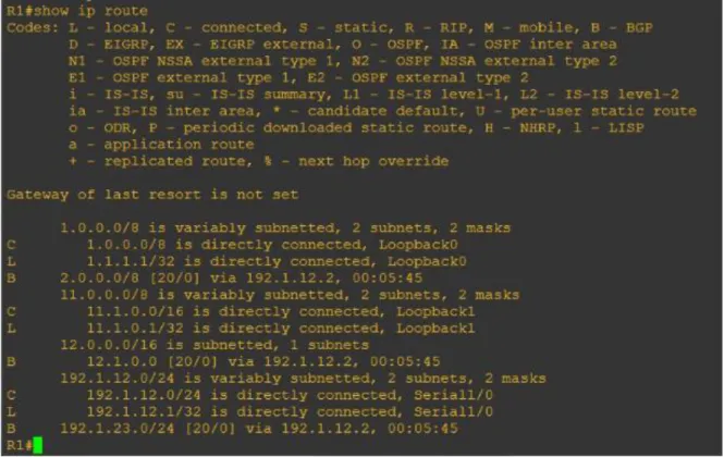 Figura 7. Comando show ip route validación rutas aprendidas por Protocolo BGP