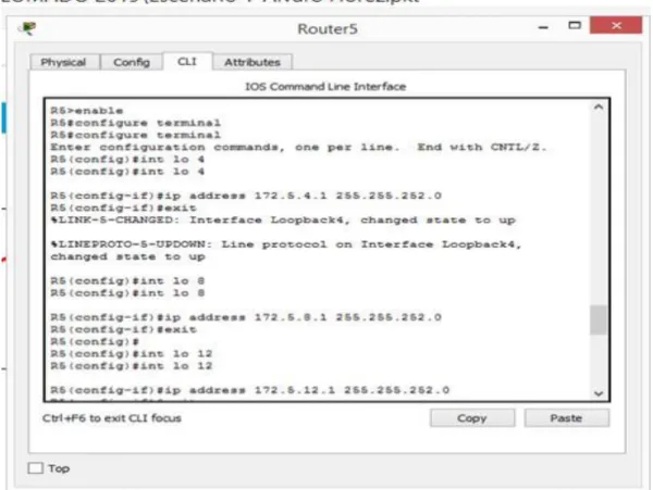 Figura 9. Interfaces de Loopback en R5 