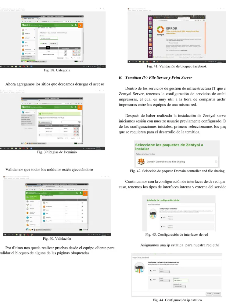 Fig. 38. Categoría 