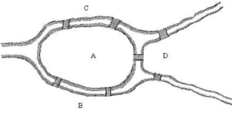 Figura 1: Los Puentes de Konigsberg