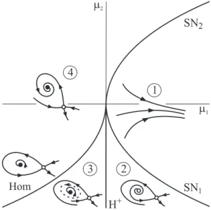 Figure 6. Unfolding of the Bogdanov-Takens bifurcation.