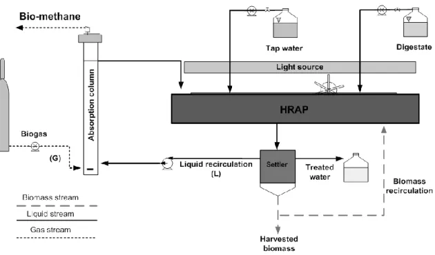 Figure  1.  Schematic  diagram  of  the  experimental  setup  used  for  the  continuous 