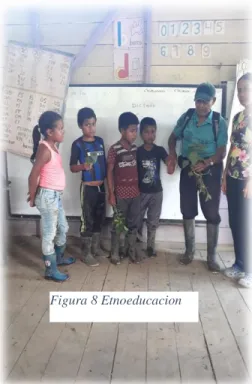 Figura 8 Etnoeducacion