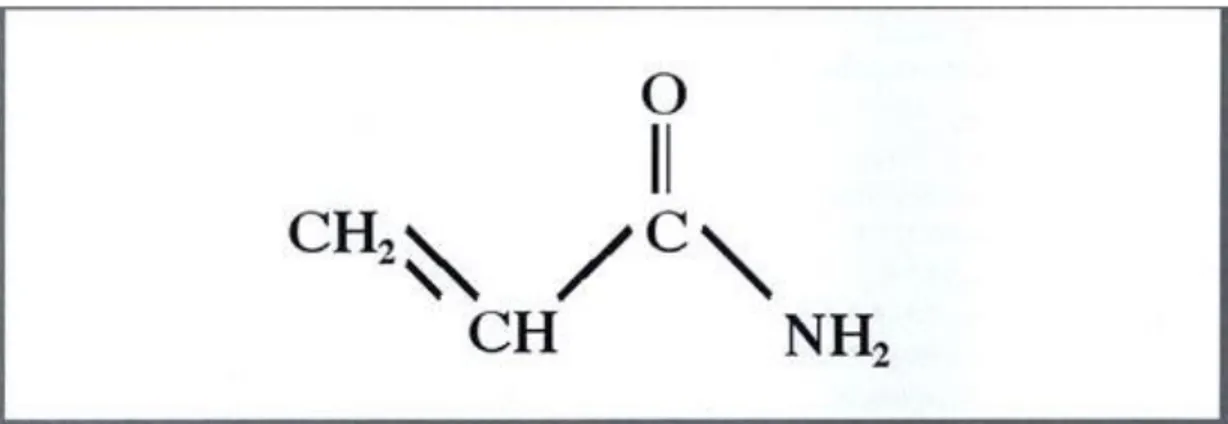 FIGURA 1. Estructura química de la acrilamida.  13 