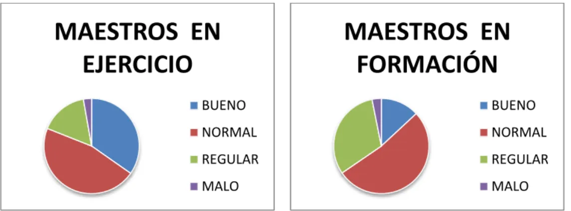 Figura 5. Representación de los datos obtenidos (quinta pregunta) de los maestros  y maestras de Educación Infantil en ejercicio y en formación