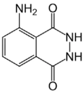 Figura 6 - Estructura molecular del luminol. 