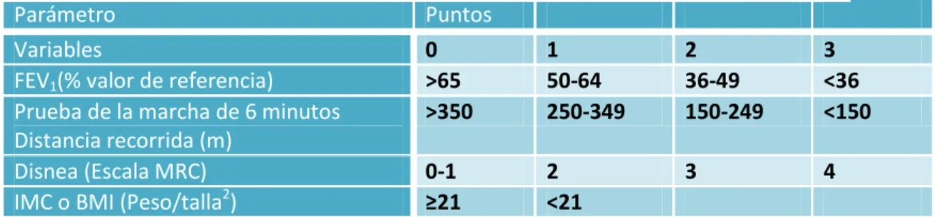 Tabla 3. Descripción de la puntuación de cada variable para obtener el índice BODE 12 
