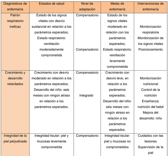Tabla 8: Diagnósticos de enfermería, niveles de adaptación, objetivos e intervenciones 