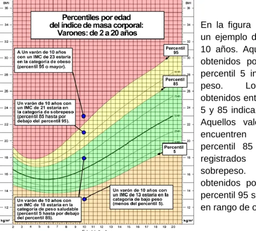 Figura 1: Percentiles de IMC por edad  