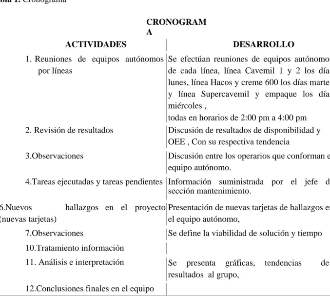 Tabla 1. Cronograma 