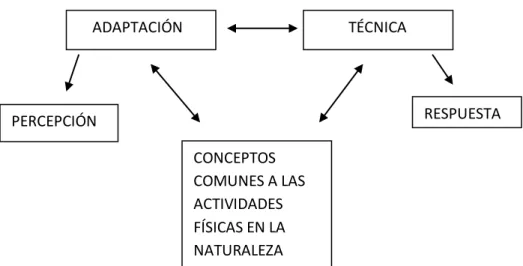Figura 1: Relación Adaptación/Técnica. 