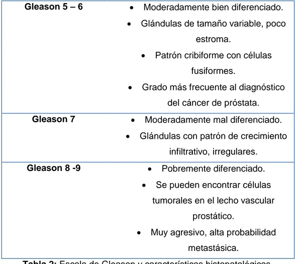 Tabla 2: Escala de Gleason y características histopatológicas. 
