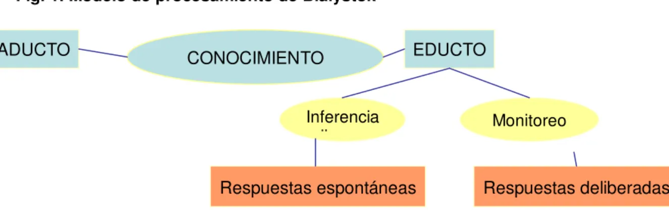 Fig. 1. Modelo de procesamiento de Bialystok 