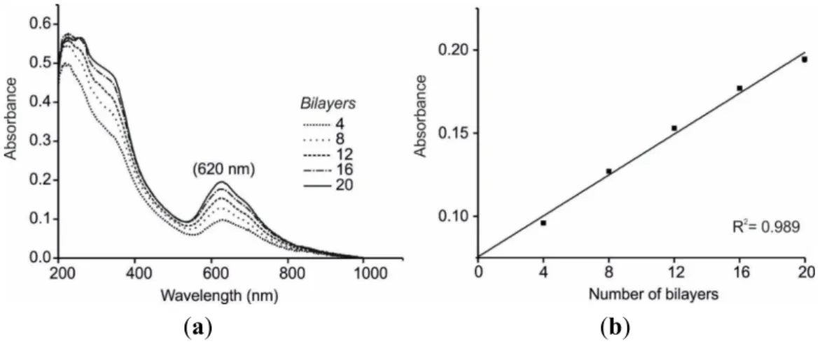 Figure 1. UV-Vis characterization of 4–20 CuPc SO3 /PAH LbL bilayers. (a) UV-Vis  absorption spectra; (b) Linear correlation between absorbance vs