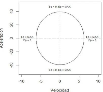 Figura 2.12: Phase-plane plot del movimiento armónico simple unitario.