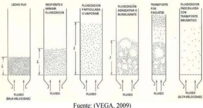 Figura 5. Fases de Fluidización 