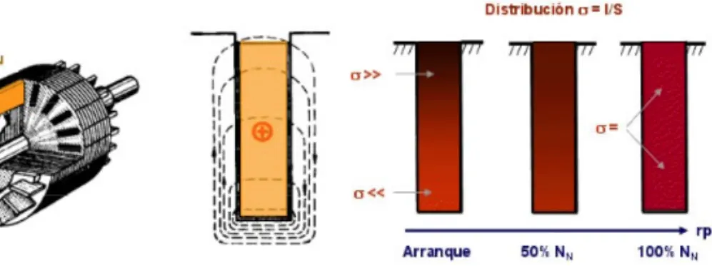 Fig. 4.2.11 Rotor de ranuras profundas 