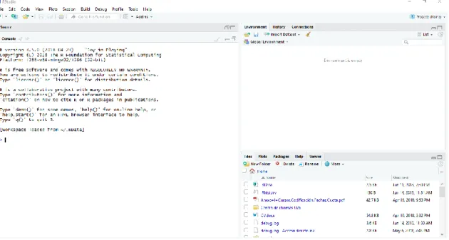 Ilustración 1: Ventanas de RStudio 