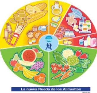Figura  3,  regulado  en  los  años  60,  por  el  Programa  de  Educación  en  Alimentación  y 