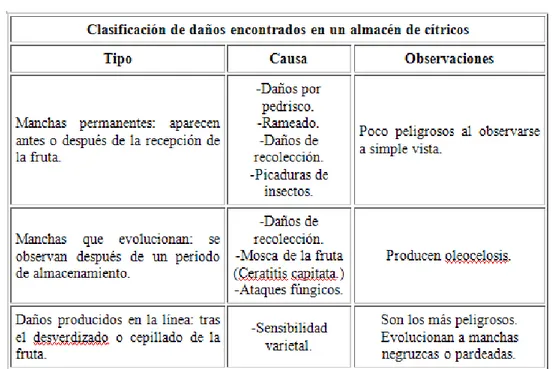 Tabla 17: Clasificación de daños en un almacén de cítricos. 