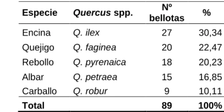 Tabla  4.  Porcentaje  de  bellotas  de  cada  especie  de 