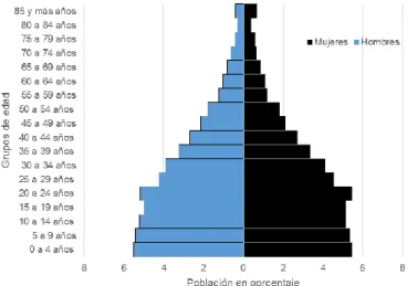 Gráfico 7).  