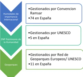 Fig. 1.  Otras figuras de protección. (Elaboración Propia, fuentes variadas) 