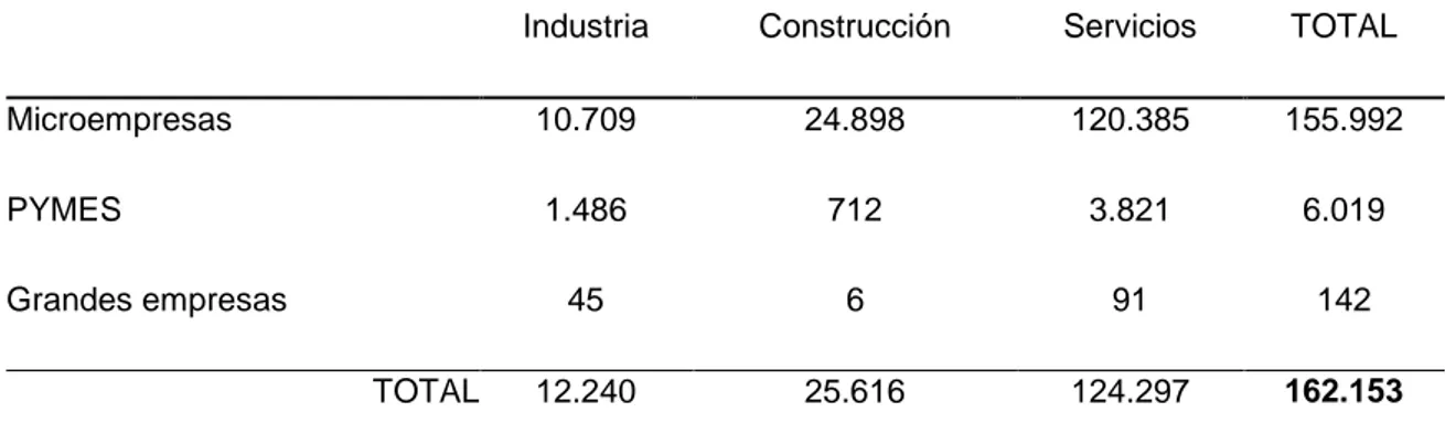 TABLA 3.3. Distribución de las empresas de Castilla y León por tamaño y sector  de actividad 