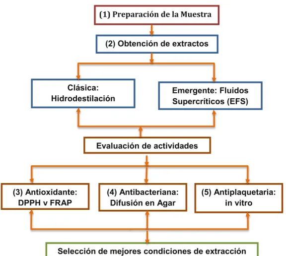 Figura 8. Esquema general