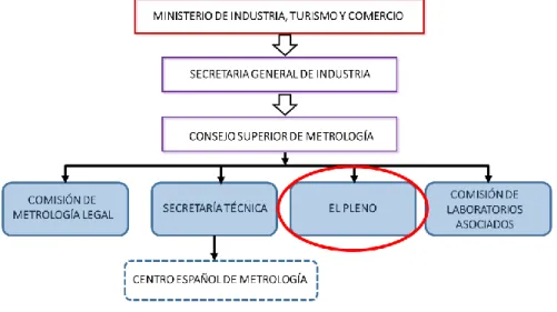 Figura 4: Pleno del CSM