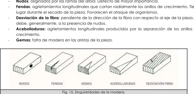 Fig. 15. Singularidades de la madera.