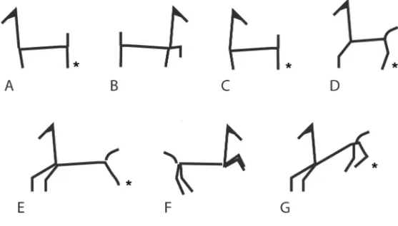 Fig. 5. Esquema resumen de las representaciones de caballo (Tipo 1).