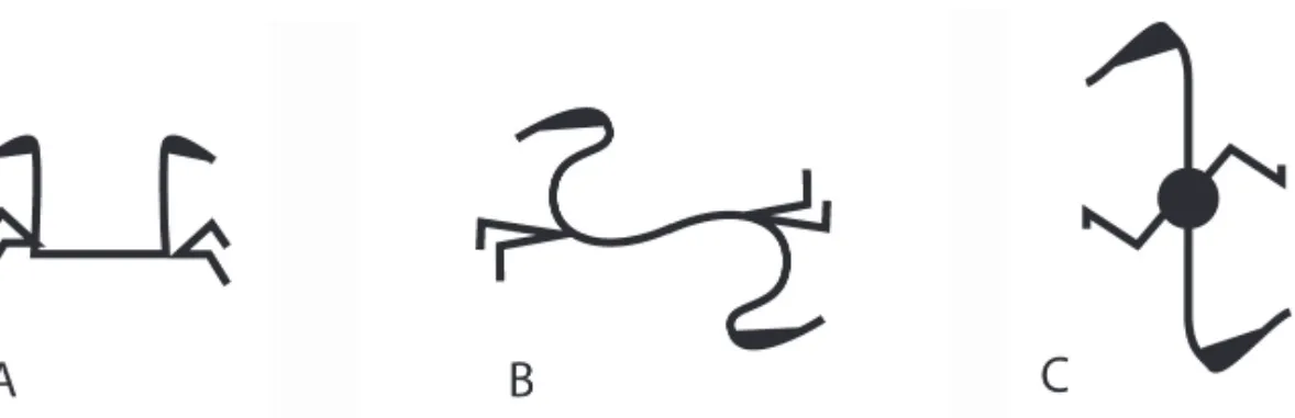 Fig. 10. Esquema resumen de las representaciones de dobles prótomos de caballo (Tipo 2).