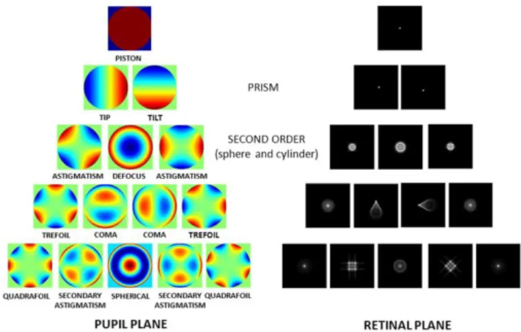 Figure  1.7.  Representation  of  the  Zernike  base  functions  (15 th   coefficients)  and  their corresponding point-spread functions (Taken from Vera-Díaz F and Doble N, 
