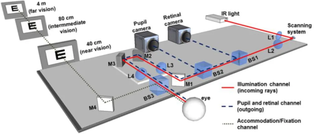 Figure  2.2.  Scheme  of  the  custom-LRT  at  the  VioBio  lab  (Instituto  de  Óptica 