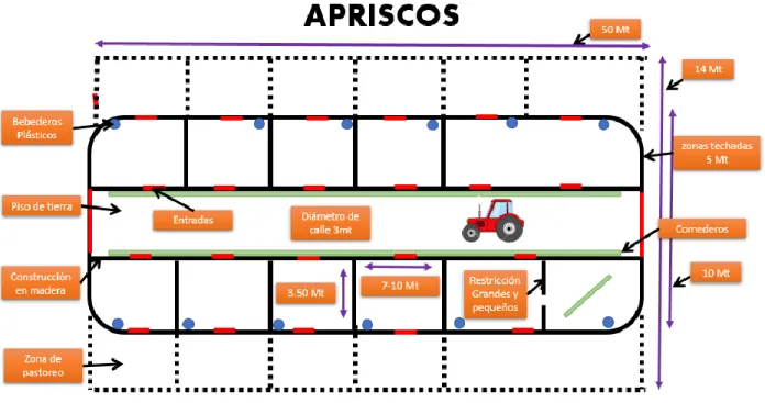 Ilustración 4. Apriscos  